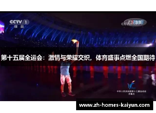 第十五届全运会：激情与荣耀交织，体育盛事点燃全国期待
